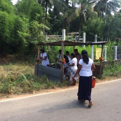 351105465 274500668309058 3886179856558127665 N