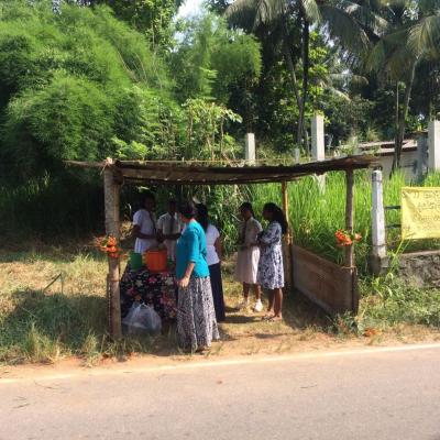 351329174 3561729624147611 9147191656755929846 N